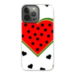Telefoonhoesje maken magsafe watermelon